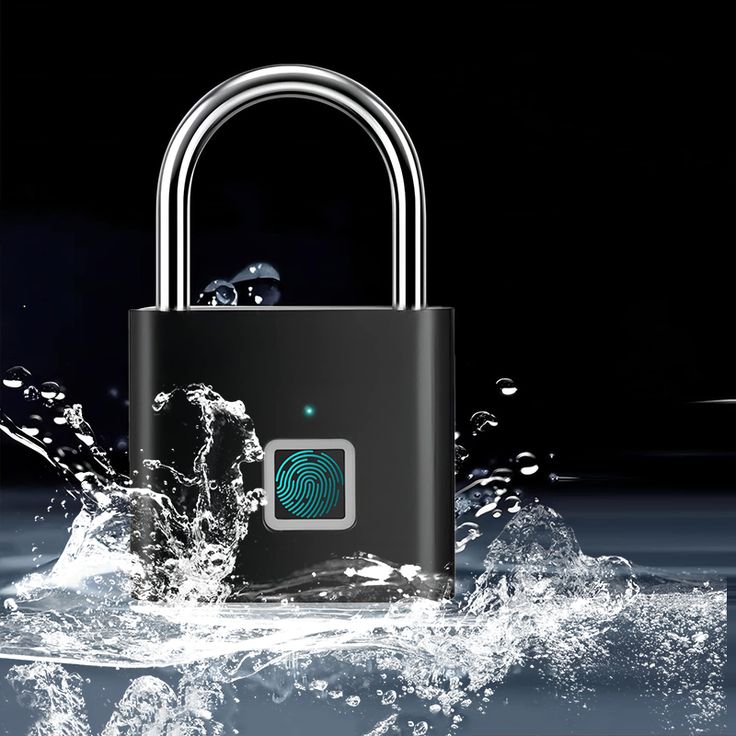 Fingerprint Pad lock